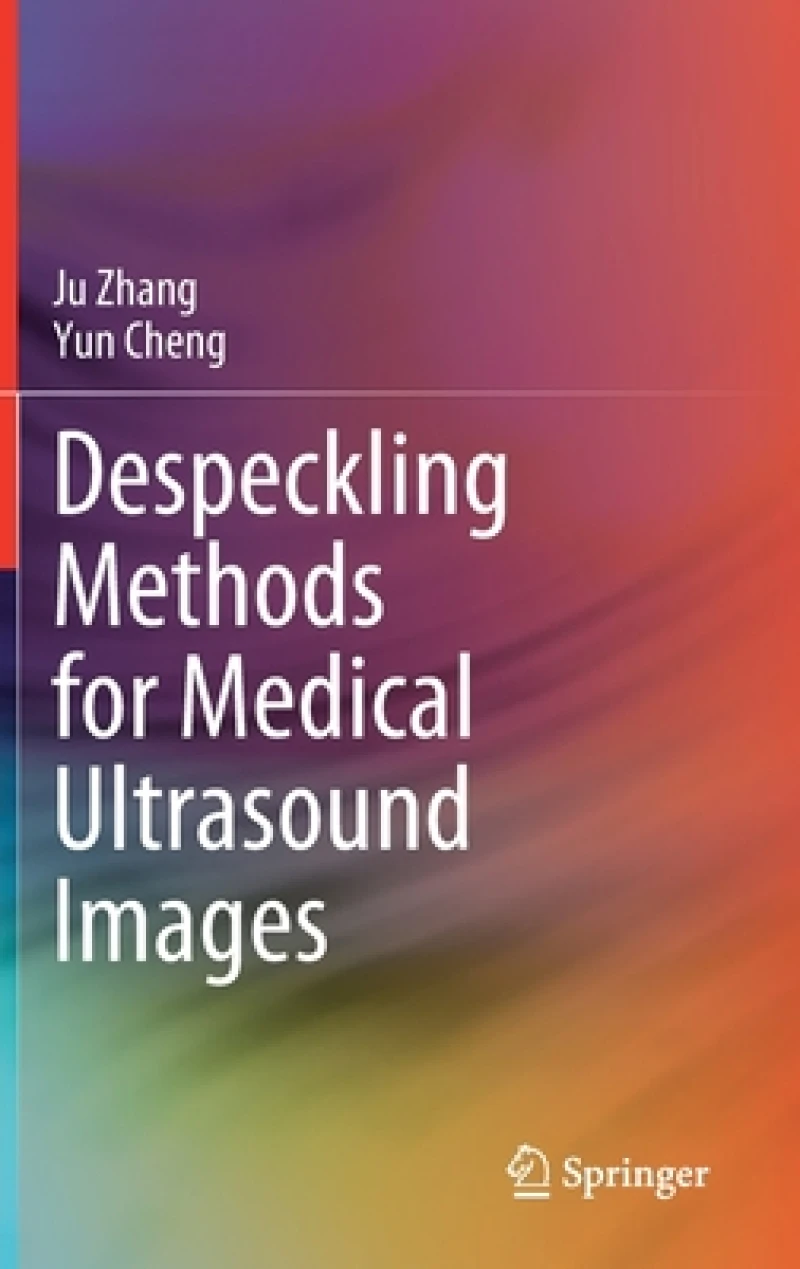 Despeckling Methods for Medical Ultrasound Images