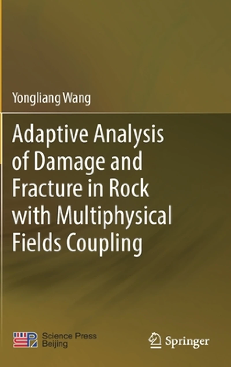 Adaptive Analysis of Damage and Fracture in Rock with Multiphysical Fields Coupling