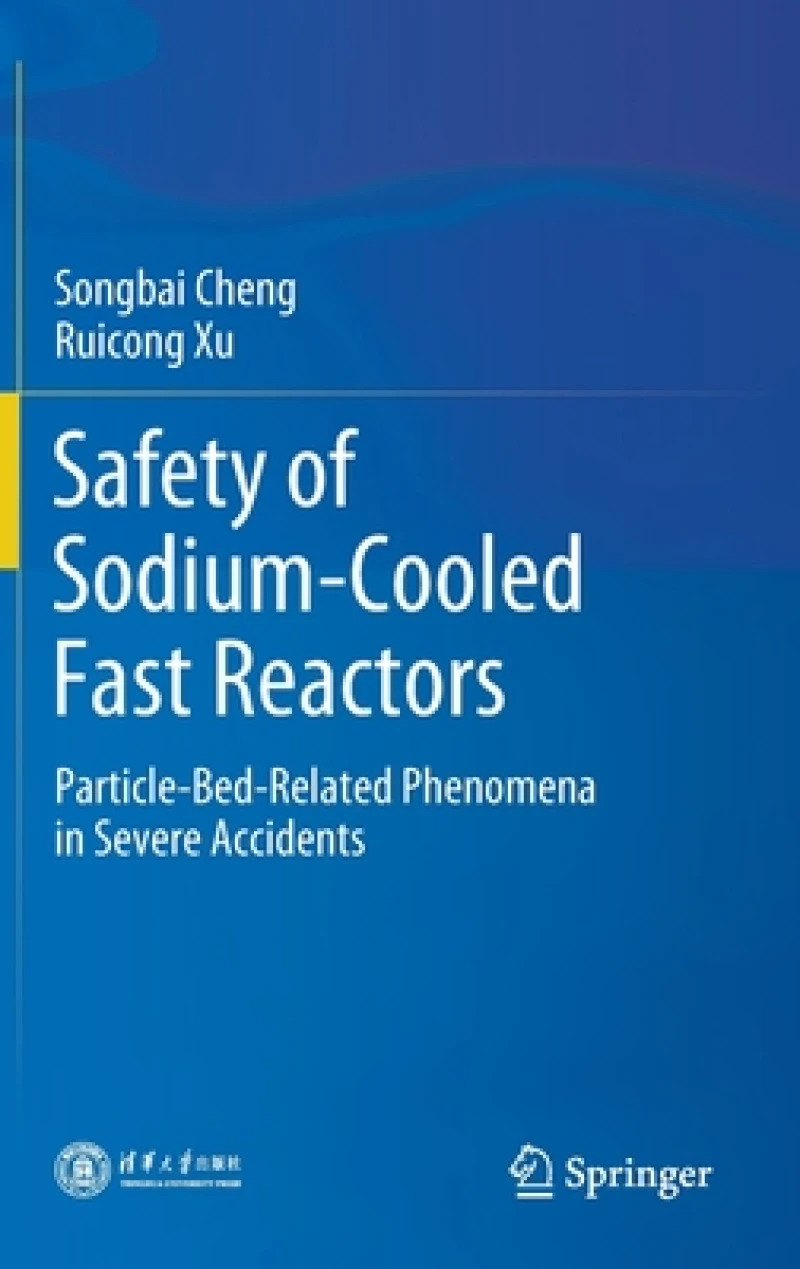 Safety of Sodium-Cooled Fast Reactors