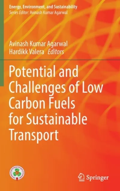 Potential and Challenges of Low Carbon Fuels for Sustainable Transport