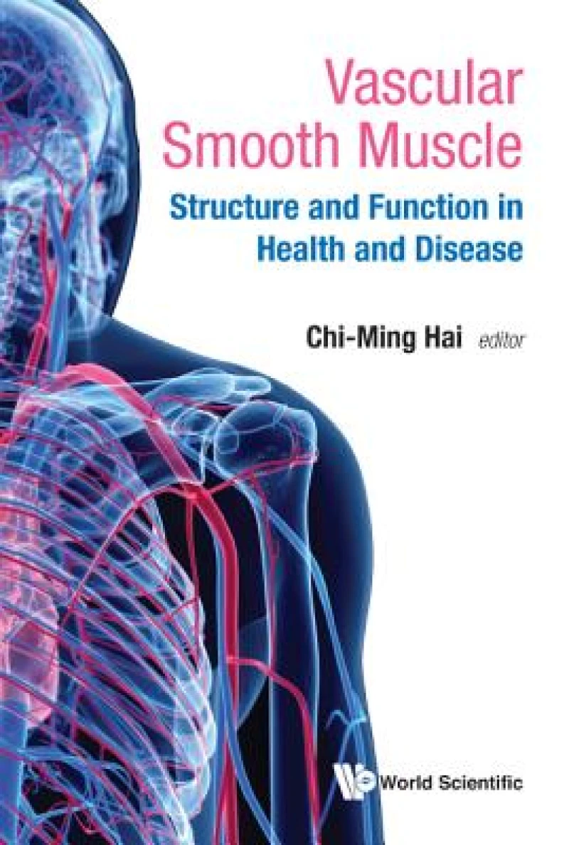 Vascular Smooth Muscle