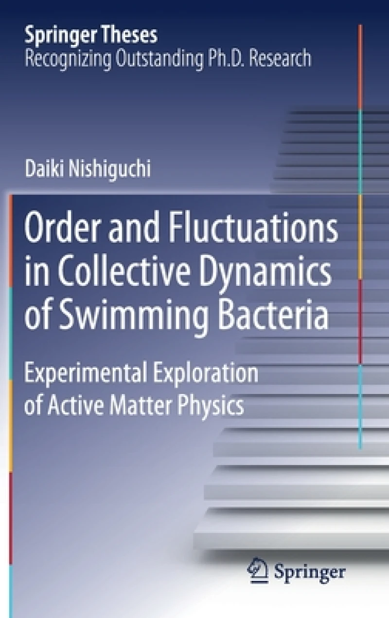 Order and Fluctuations in Collective Dynamics of Swimming Bacteria