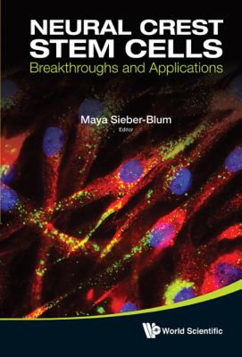 Neural Crest Stem Cells: Breakthroughs And Applications
