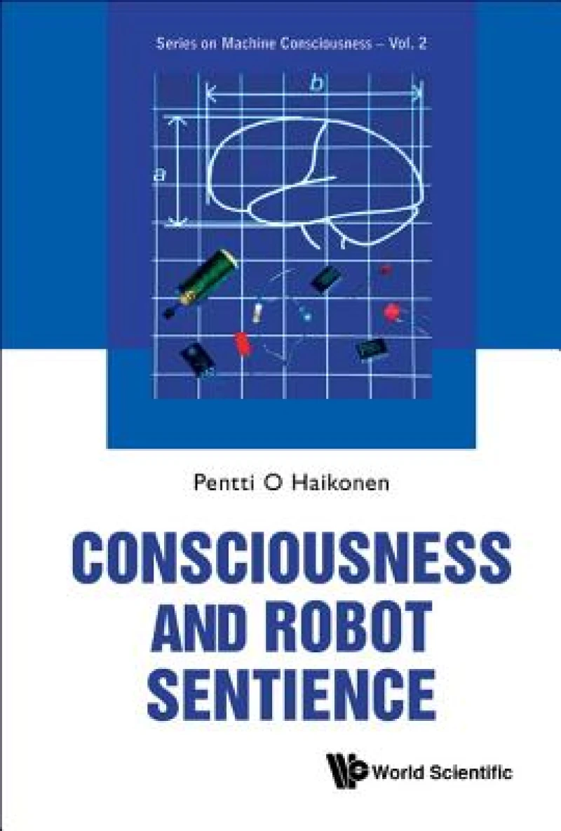 Consciousness And Robot Sentience