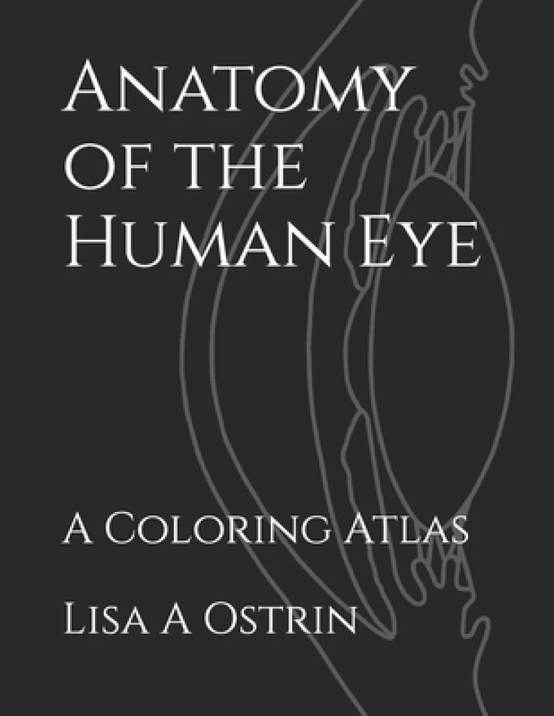Anatomy of the Human Eye