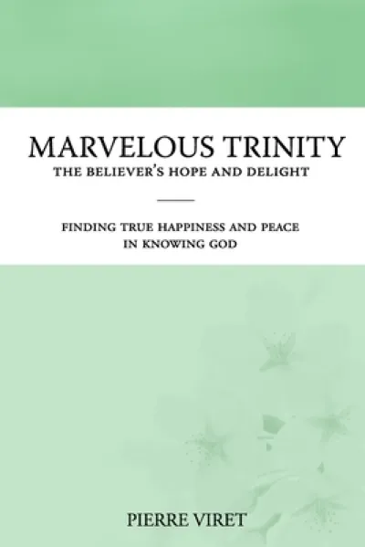 Marvelous Trinity, the Believer's Hope and Delight